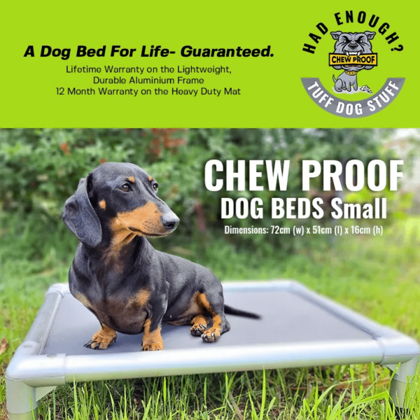 ChewProof Dog Beds Best Indestructible Beds in Australia