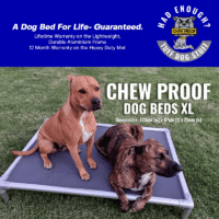 Indestructible Extra Large (XL) Chew Proof Mesh Dog Bed | Built for Beasts who like a Breeze - Image 4