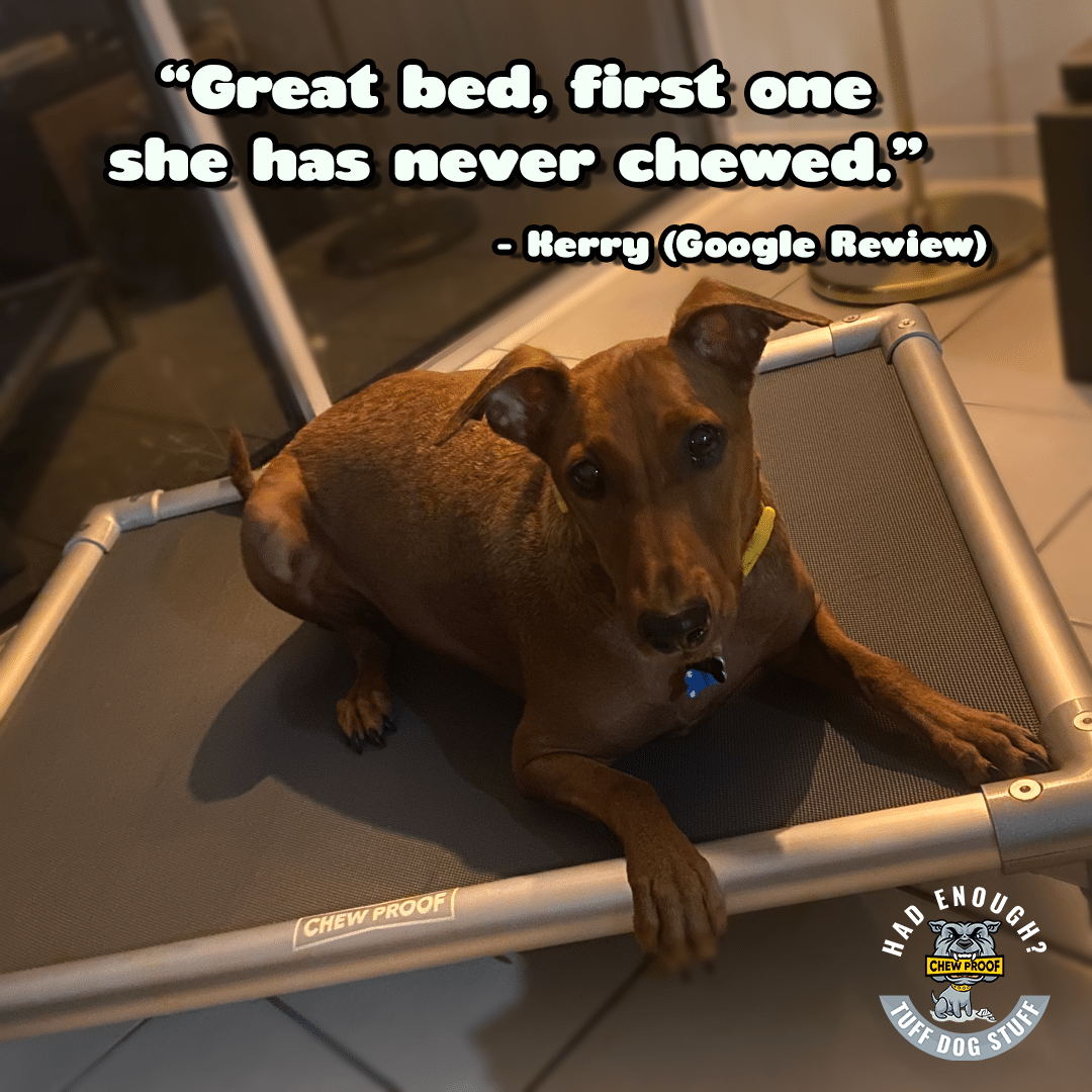 SMALL CHEWPROOF DOG BED WITH RIPLOCK PVC MAT - Image 6