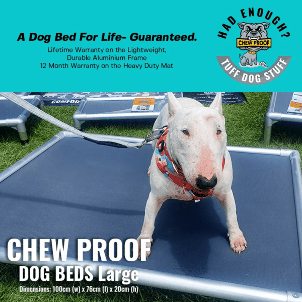 Chewproof Dog Beds the best Chew Proof Dog Bed in Australia