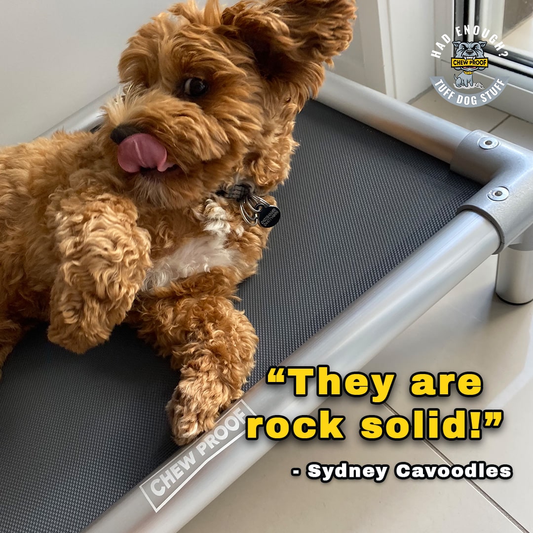 SMALL CHEWPROOF DOG BED WITH MESH MAT - Image 6