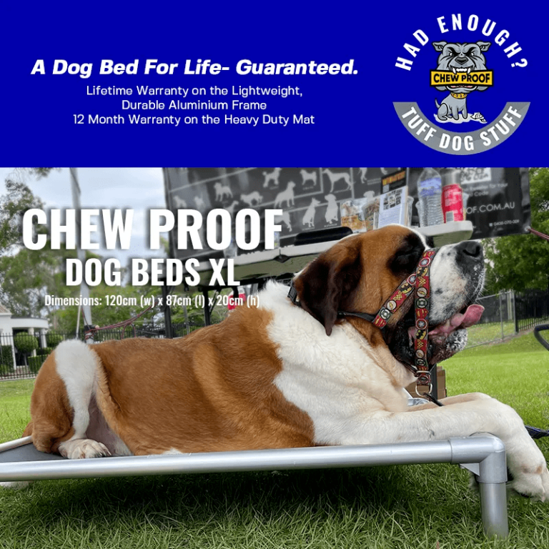 XL CHEWPROOF DOG BED WITH RIPLOCK PVC MAT Chewproof Dog Beds