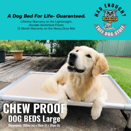 ChewProof LARGE