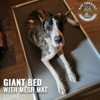 GIANT CHEWPROOF DOG BED WITH MESH MAT