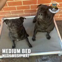 MEDIUM CHEWPROOF DOG BED WITH MESH MAT