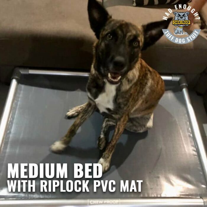 MEDIUM CHEWPROOF DOG BED WITH RIPLOCK PVC MAT