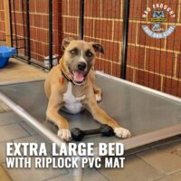 XL CHEWPROOF DOG BED WITH RIPLOCK PVC MAT