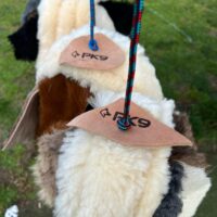 Dog Flirt Pole- The Ultimate Flirt Pole For Dogs - Image 3