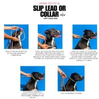 Dog Slip Collar - Crafted from 6mm Biothane - Image 6