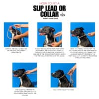 Dog Slip Collar - Crafted from 6mm Biothane - Image 5