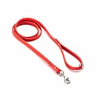 Biothane Super Grip Dog Leash – 6ft Durable Training Lead - Image 3