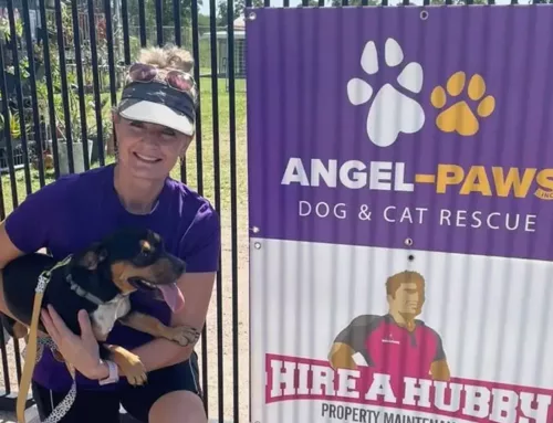Supporting Rescue Dogs with ChewProof and Angel Paws: A Raffle, A Win, and a Way to Help
