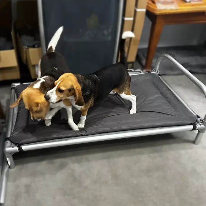 chew-resistant dog pillow perfect for cheeky dogs with chewproof beds