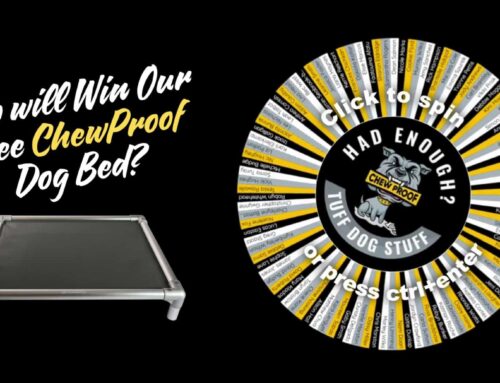 The Winner of Our June 2025 Free ChewProof Bed Competition is…