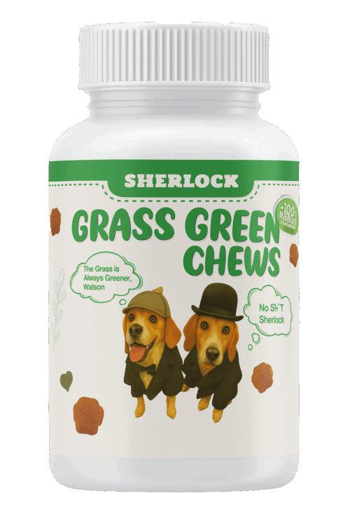 Green Grass Chews for Dogs