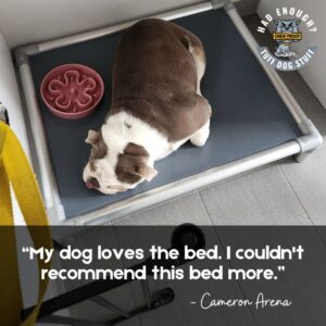 A Bulldog sleeping on his ChewProof Bed