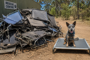 ChewProof Dog Beds V Imported Dog Beds
