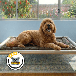 ChewProof Comfort raised dog bed with a 3-star destruction rating
