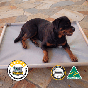 ChewProof Extreme raised dog bed with a 5-star destruction rating