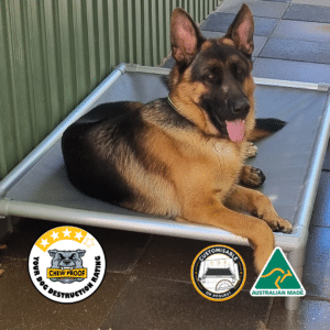 ChewProof Pro-Tough raised dog bed with a 4-star destruction rating