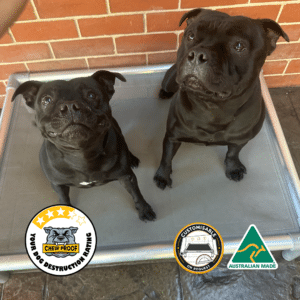 ChewProof Pro-Mesh raised dog bed with a 3.5-star destruction rating