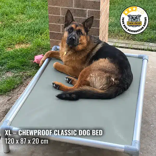 A German Shepherd lounges on an XL ChewProof Classic Dog Bed featuring a grey PVC mat and sturdy elevated aluminium frame in an outdoor patio area.