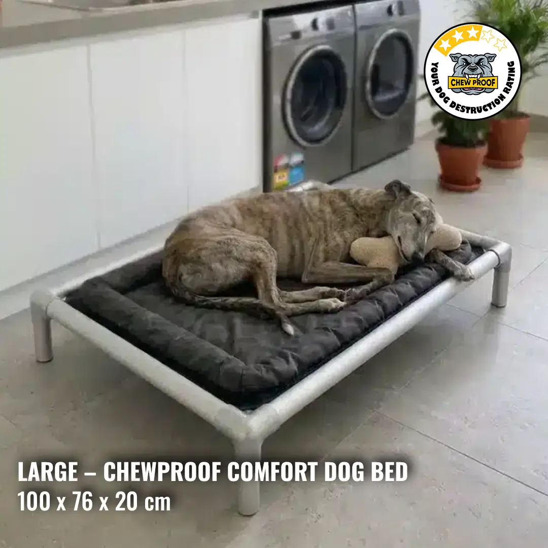 ChewProof Large Comfort Dog Bed with protected pillow-top surface