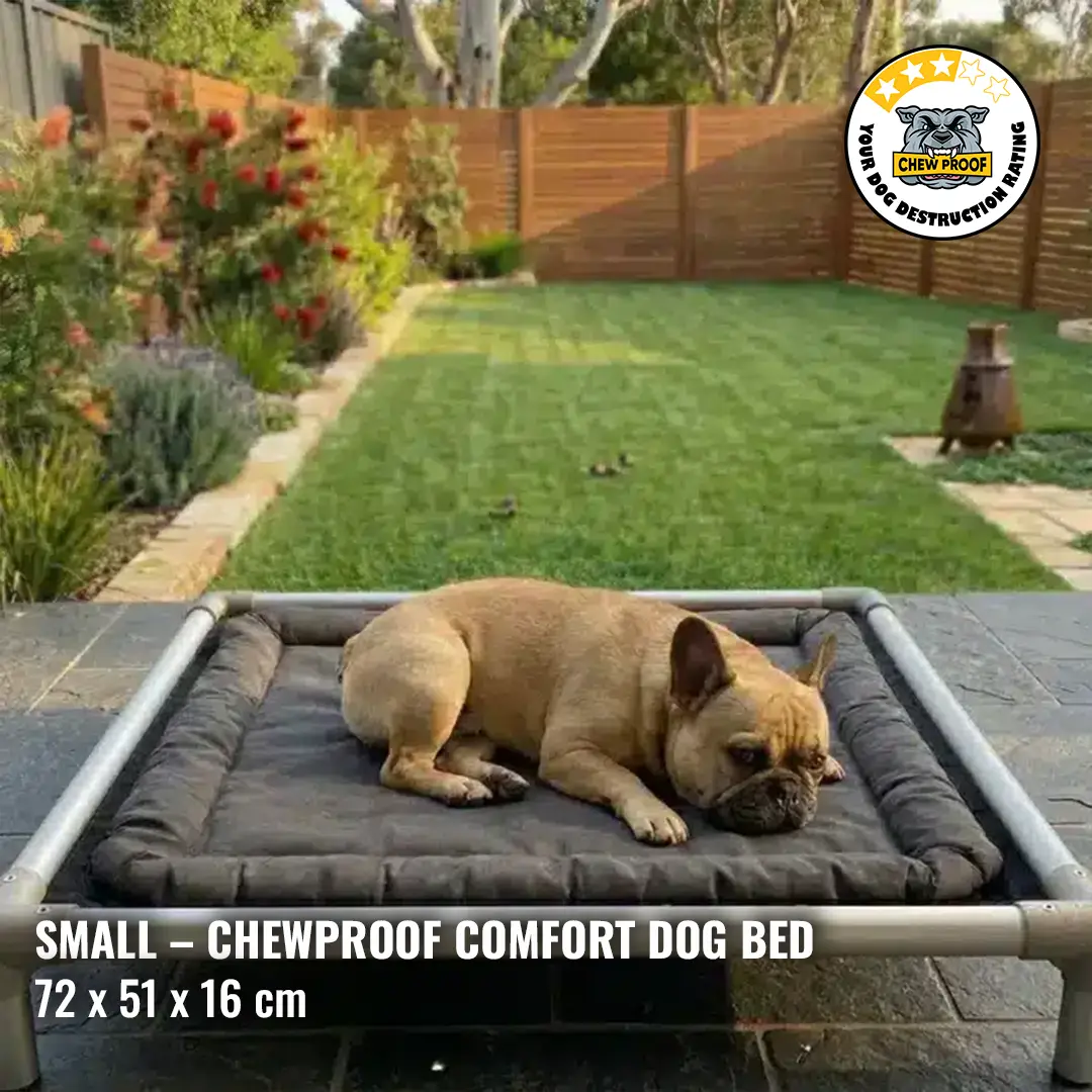 ChewProof Small Comfort Dog Bed with protected pillow-top surface